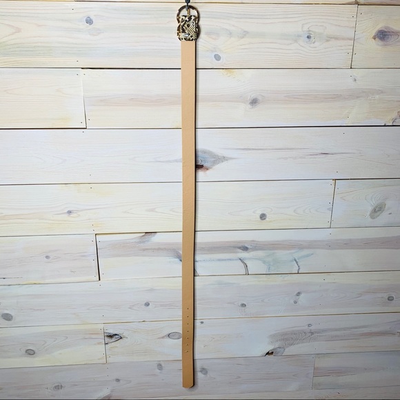 Trendy Faux Snakeskin Belt with Two Gold Circles - Picture 7 of 7